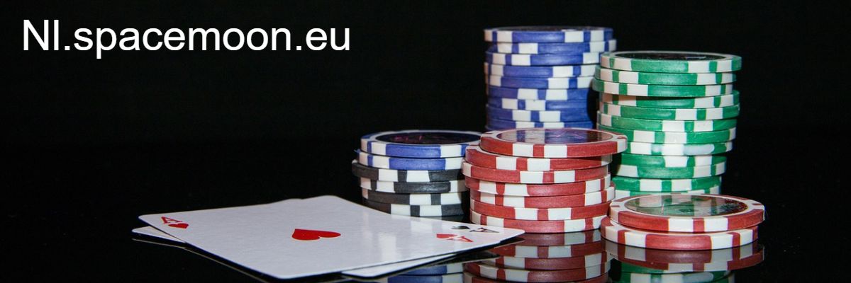 nl.spacemoon.eu
